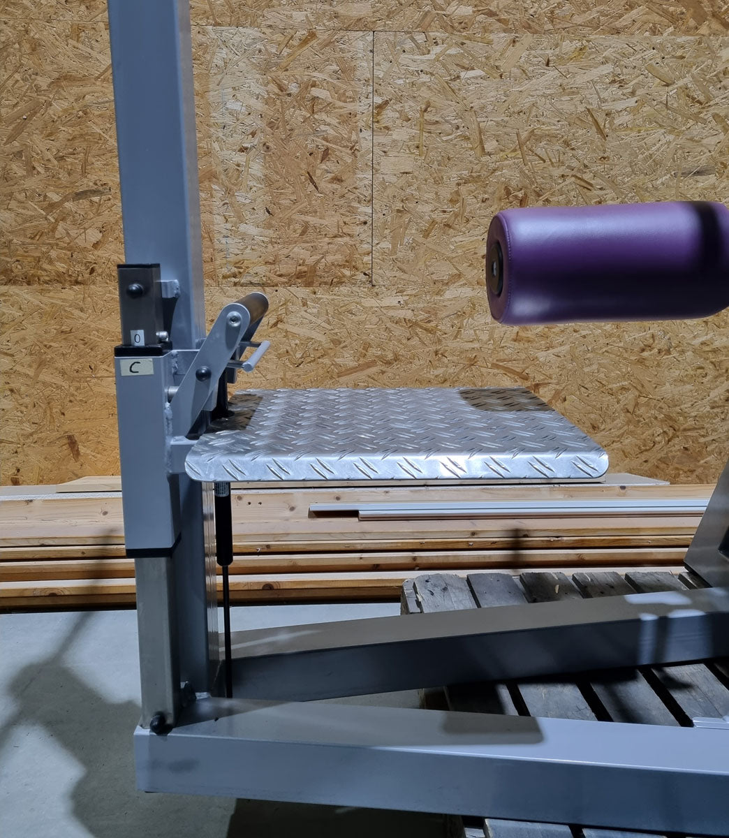 SVG Multi Hip, kick machine, hip pendulum, MPG, frame color silver, upholstery color purple, MPG, used - refurbished condition