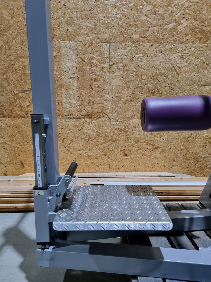 SVG Multi Hip, kick machine, hip pendulum, MPG, frame color silver, upholstery color purple, MPG, used - refurbished condition
