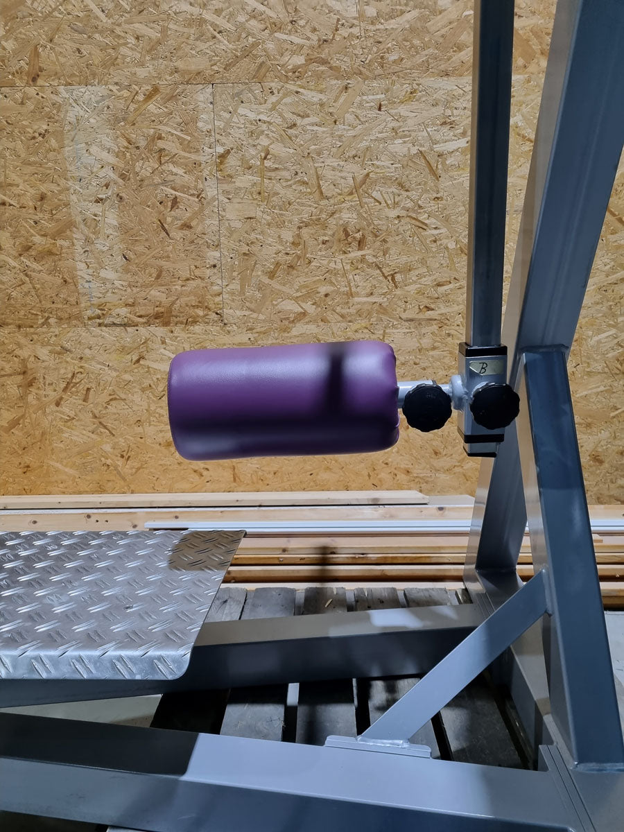 SVG Multi Hip, kick machine, hip pendulum, MPG, frame color silver, upholstery color purple, MPG, used - refurbished condition