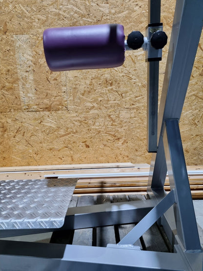 SVG Multi Hip, kick machine, hip pendulum, MPG, frame color silver, upholstery color purple, MPG, used - refurbished condition