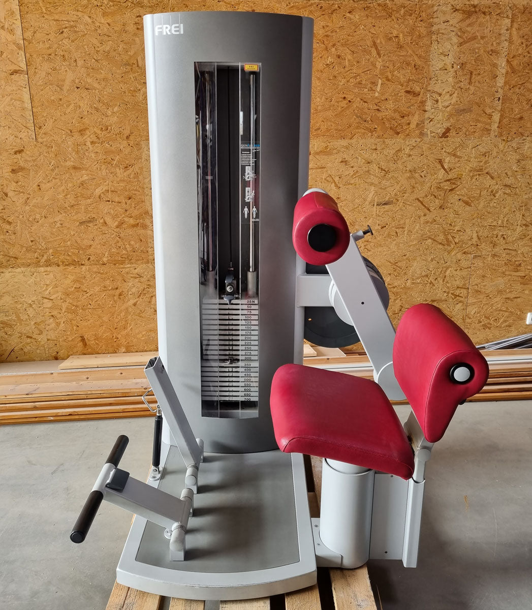 Frei Genius Eco Rückenstreckermaschine, Hyperextension, Rückenmaschine Lower Back, Rahmenfarbe Silber, Polsterfarbe Rot, gebraucht - überholter Zustand