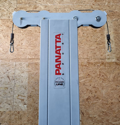 Panatta Doppel Seilzugturm, Trizepsturm von Oben, 1x mit Hüftpolster, 50kg und 80kg Gewichstblock, Triceps Pulley Tower - gebraucht - geprüfter Zustand