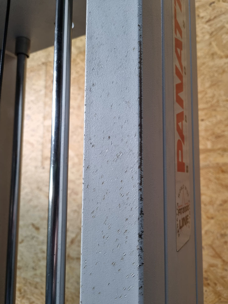 Panatta Doppel Seilzugturm, Trizepsturm von Oben, 1x mit Hüftpolster, 50kg und 80kg Gewichstblock, Triceps Pulley Tower - gebraucht - geprüfter Zustand
