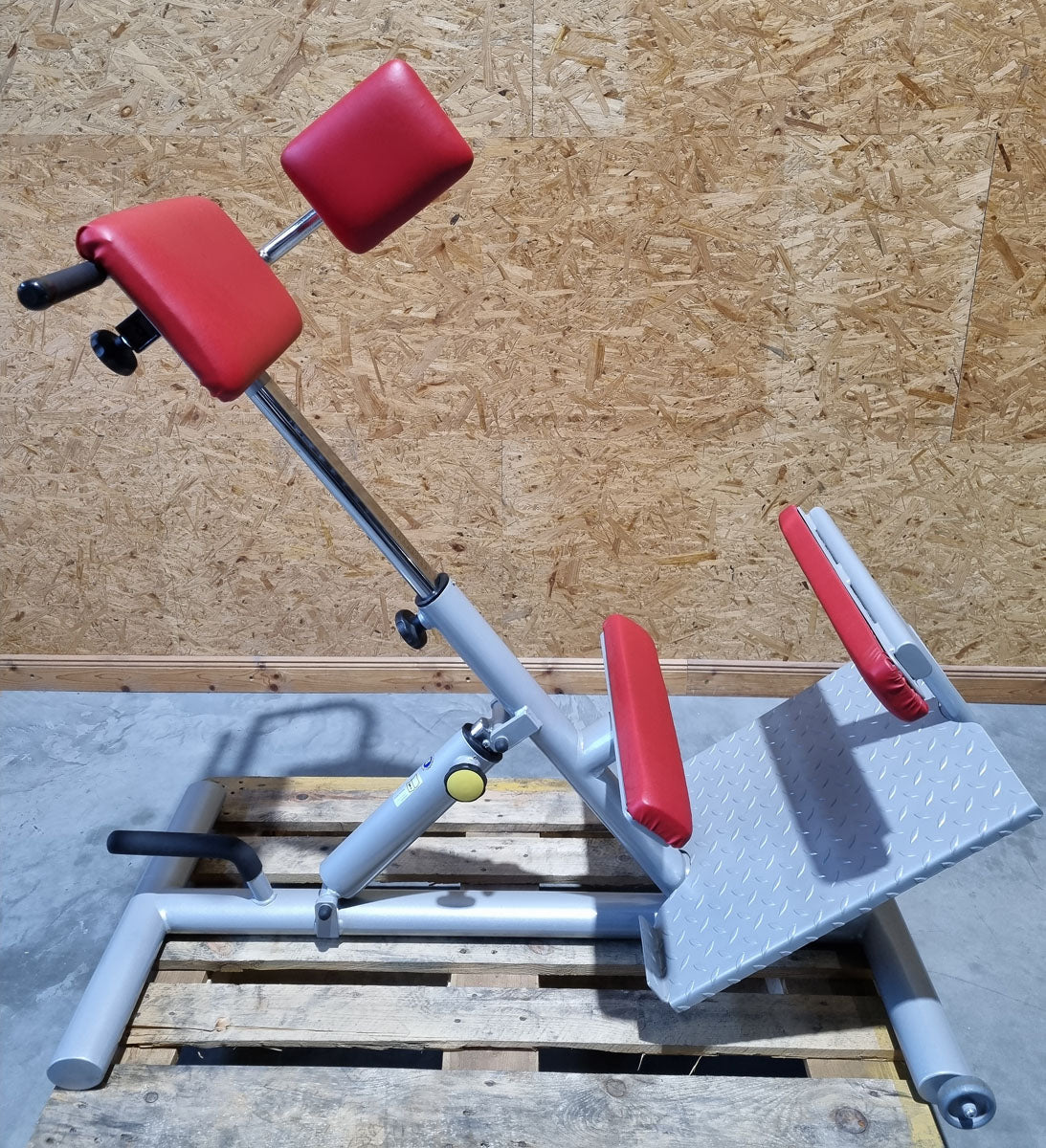 Proxomed Rückentrainer Kombi, Compass 530, Rückenstreckerbank 45° Hyperextension, Lateral Trainer, MPG, Reha, Rahmenfarbe Silber, gebraucht - überholter Zustand