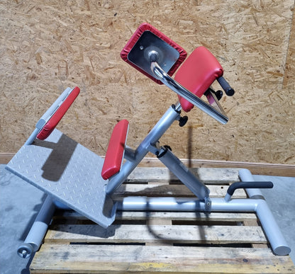 Proxomed Rückentrainer Kombi, Compass 530, Rückenstreckerbank 45° Hyperextension, Lateral Trainer, MPG, Reha, Rahmenfarbe Silber, gebraucht - überholter Zustand