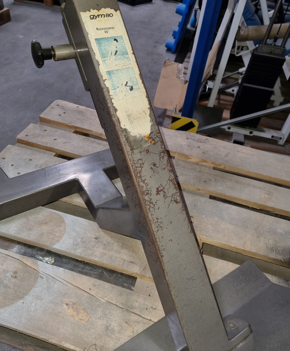 Gym80 Rückenstreckerbank, 45 Grad, Hyperextension, Rahmen Silber, Polster Braun, gebraucht mit Gebrauchsspuren