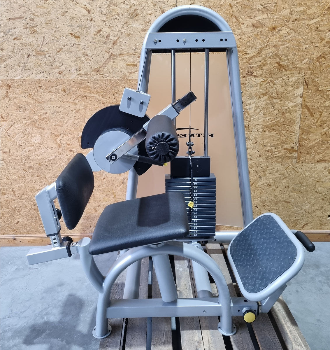 Proxowell/Proxomed Rückenstrecker-beuger Kombi Compass 530, Hyperextension und Bauchmaschine 2 in 1 Kombigerät, 100kg Gewichtsblock mit Feingewicht Abstufung, Rahmenfarbe Silber, gebraucht - überholter Zustand