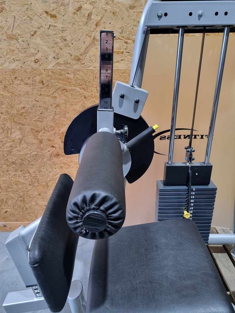 Proxowell/Proxomed Rückenstrecker-beuger Kombi Compass 530, Hyperextension und Bauchmaschine 2 in 1 Kombigerät, 100kg Gewichtsblock mit Feingewicht Abstufung, Rahmenfarbe Silber, gebraucht - überholter Zustand