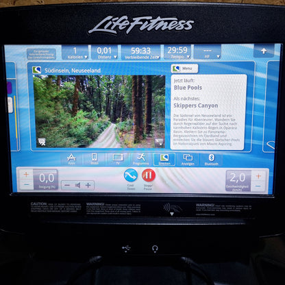 Life Fitness FlexStrider Trainer, Crosstrainer mit variabler Schrittlänge, Discover SE Touch Display Konsole, Elevation Series, gebraucht - überholter Zustand