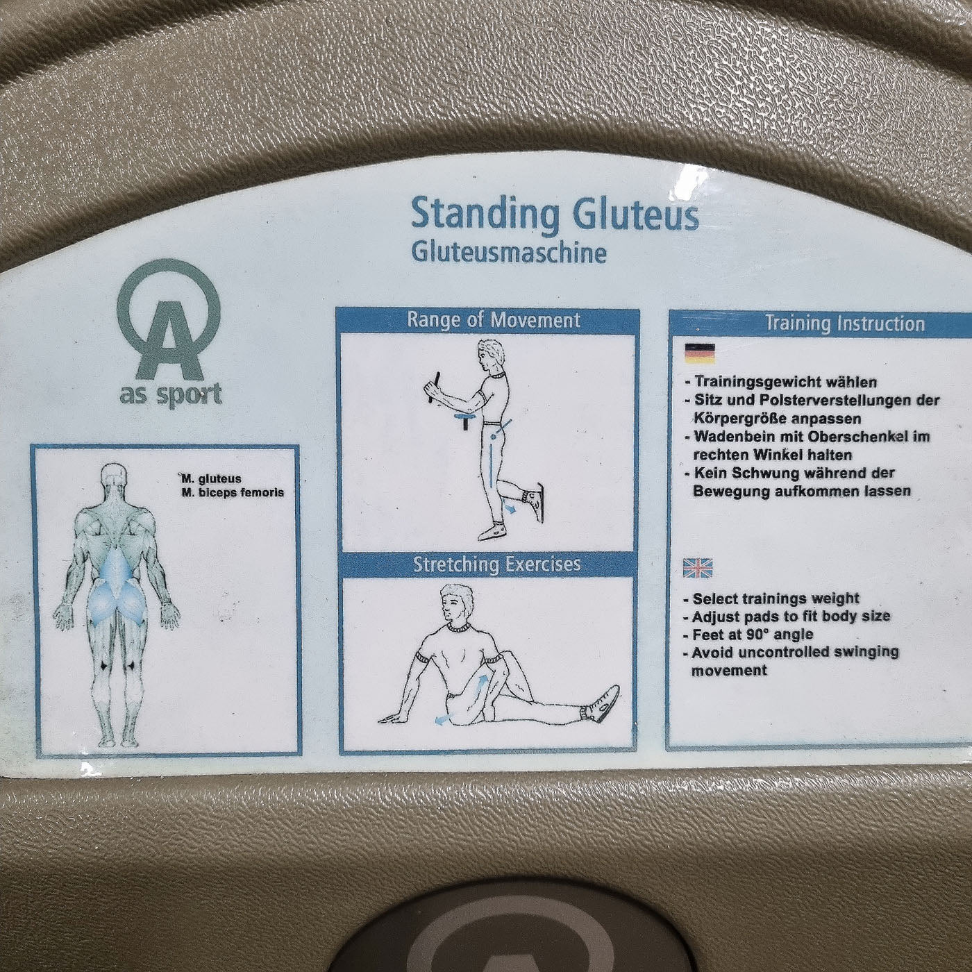 Proxomed / AS, gluteus machine, buttock machine, standing, used - refurbished condition