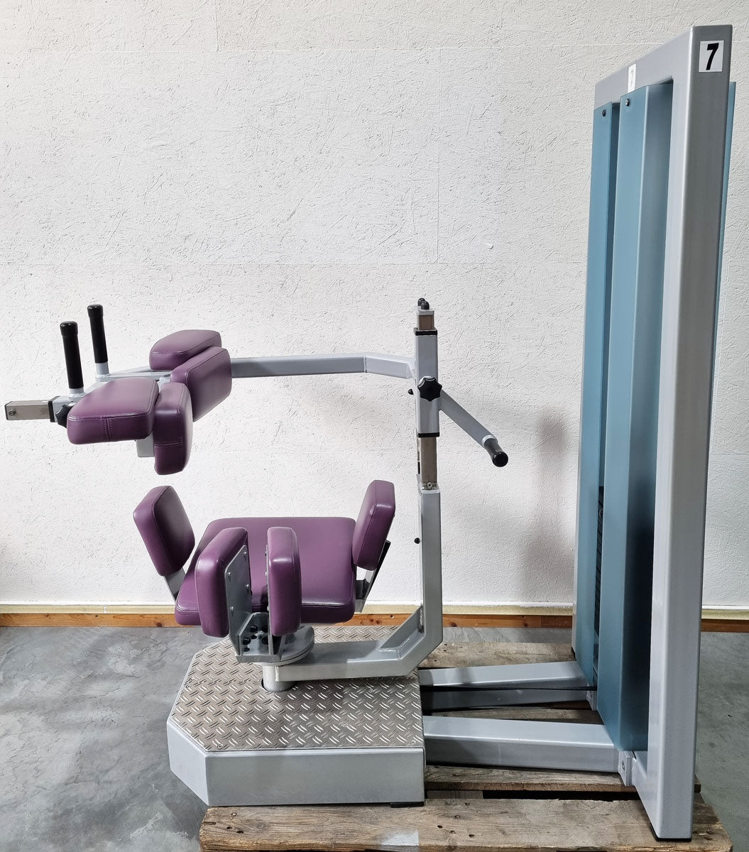 SVG torso rotator - rotation machine - lateral abdominal muscles, frame color silver, upholstery color purple, used - refurbished condition