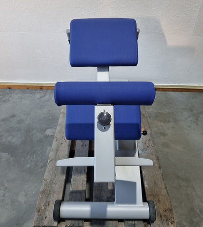 Frei Genius Basic Lateral-Lumbaltrainer, Hyperextension 15 bis 45° verstellbar, Rückenstreckerbank, Rahmenfarbe Silber, gebraucht - überholter Zustand