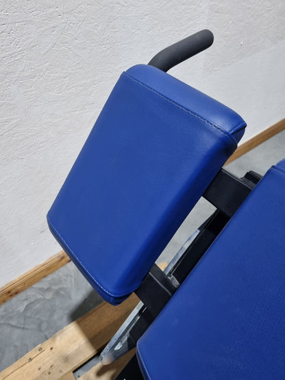 Hammer Strength Hyperextension 45° Rückenstreckerbank verstellbar, Back extension BW-BE, Rahmenfarbe Schwarz, Polsterfarbe Blau, gebraucht - überholter Zustand