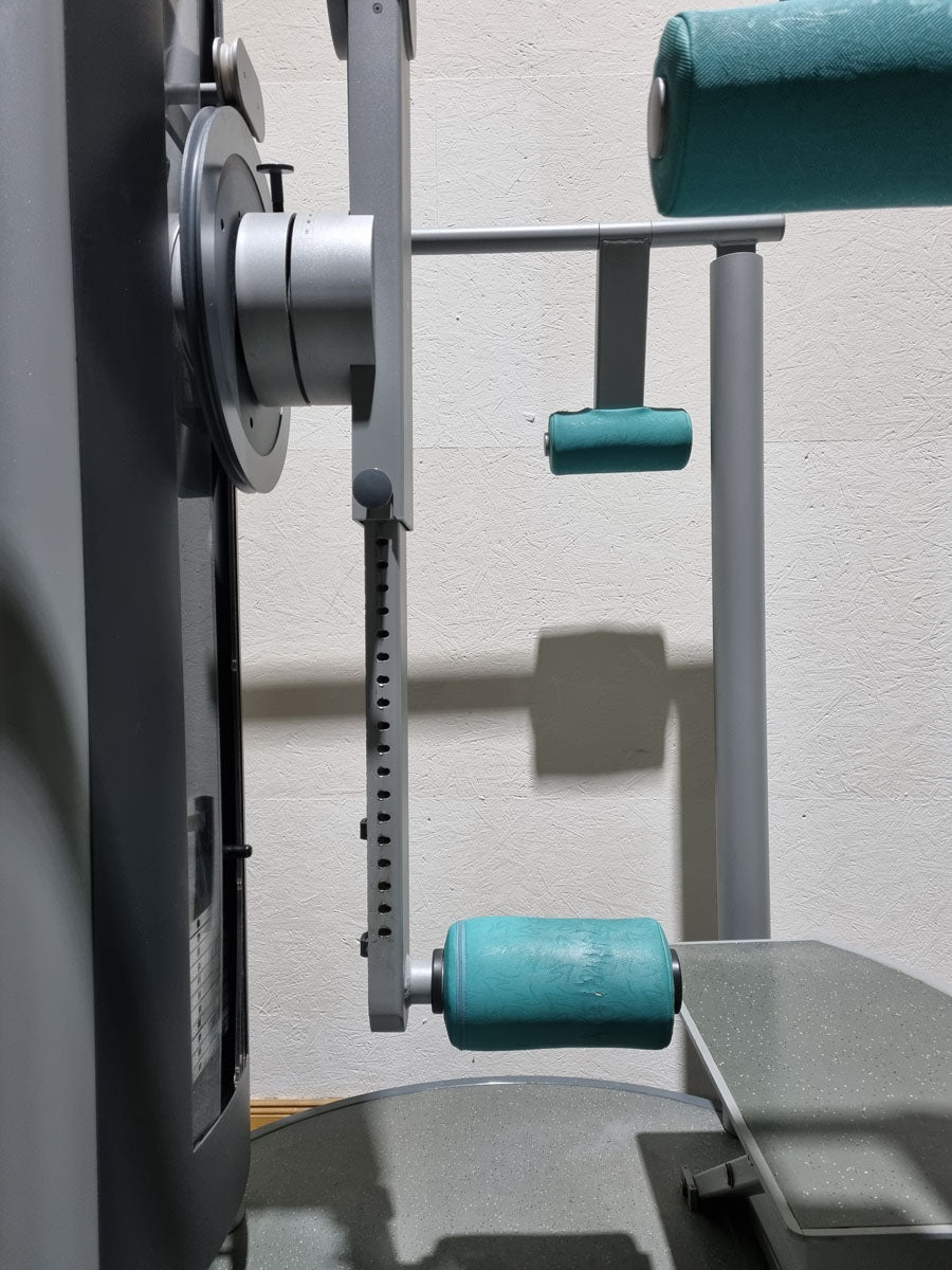 Frei Genius hip machine, hip pendulum, multi hip, kick machine, total hip also usable for ab-adductor training, frame color silver - used - refurbished condition