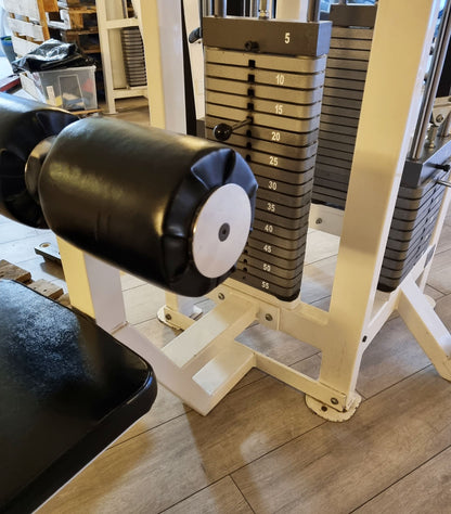 Competition Line 4 Stationenturm, 4 Stack Multi Station, Rudern, Latzug und 2 Seilzüge, Oldschool Bodybuilding, Rahmenfarbe Weiß, gebraucht - geprüfter Zustand mit Gebrauchsspuren