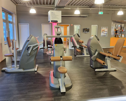 Milon 8-seater PREMIUM strength circuit, built in 2017, housing in anthracite stone, upholstery brown, including LED traffic light, top condition, used - overhauled and as good as new