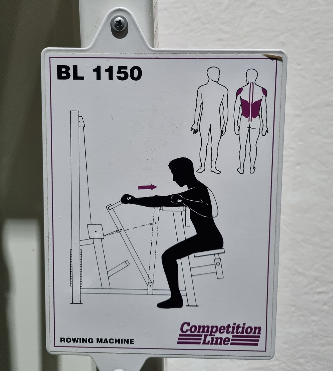 Competition Line, Rudern mit Bruststütze und Einstiegshilfe, Row, Lat-Rudern, Rahmenfarbe Weiß, gebraucht - überholter Zustand