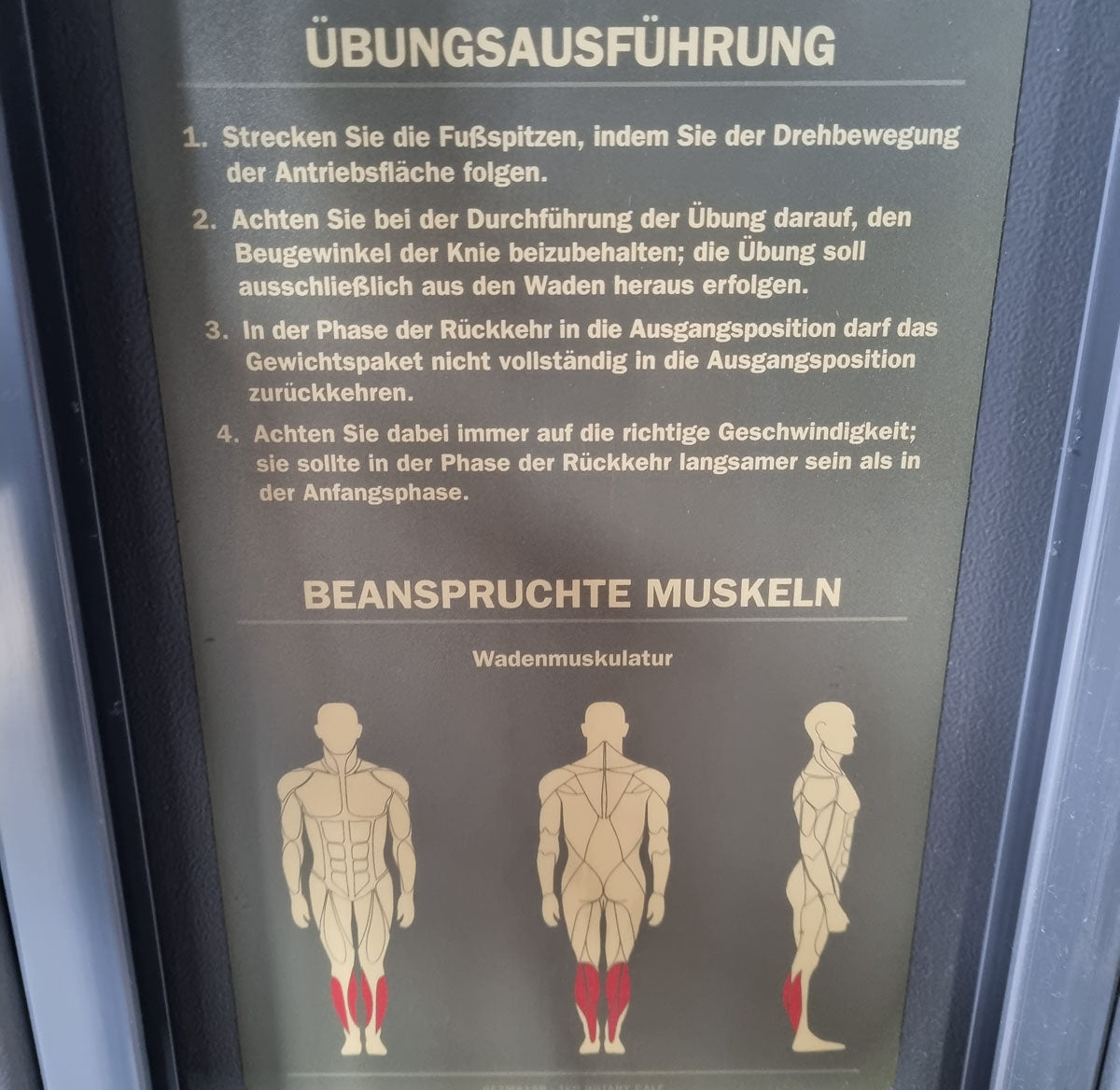 Technogym Wadenmaschine sitzend, Rotary Calf Press, Wadenpresse, Selection Line mit Isocontrol Display, Rahmenfarbe Silber, Polsterfarbe Braun, gebrauchter - überholter Zustand