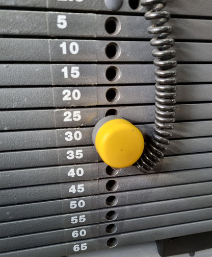 Technogym Wadenmaschine sitzend, Rotary Calf Press, Wadenpresse, Selection Line mit Isocontrol Display, Rahmenfarbe Silber, Polsterfarbe Braun, gebrauchter - überholter Zustand