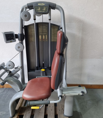 Technogym Wadenmaschine sitzend, Rotary Calf Press, Wadenpresse, Selection Line mit Isocontrol Display, Rahmenfarbe Silber, Polsterfarbe Braun, gebrauchter - überholter Zustand