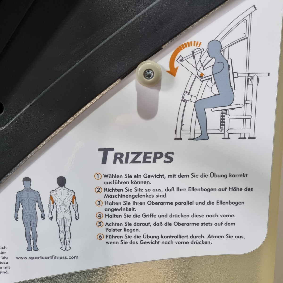 SportsArt Triceps Machine Horizontal S925 A925 N925 Triceps Extension, frame color silver, used - refurbished condition