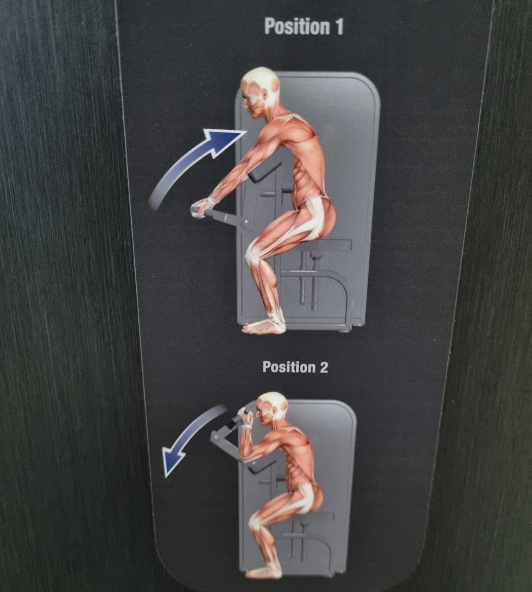 Milon Milcanic biceps machine, biceps arm curl machine, arm curler, rotating handles, silver frame, used - display piece - top condition