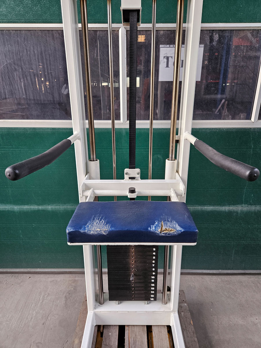 Sportesse DipChin, Dip-Klimmzugmaschine mit Gewichtsunterstützung, Rahmen Weiß, Polster NEU in Wunschfarbe, gebraucht