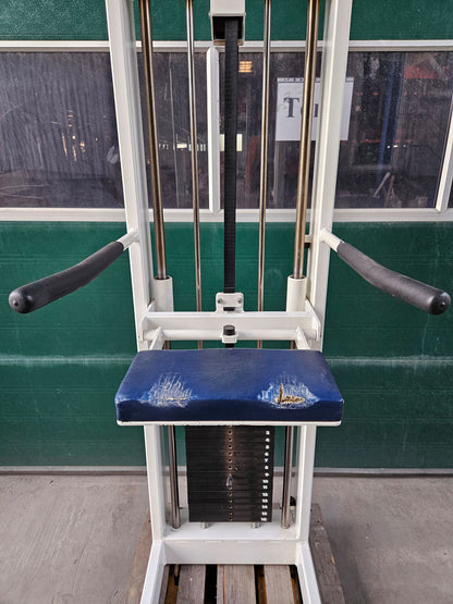 Sportesse DipChin, Dip-Klimmzugmaschine mit Gewichtsunterstützung, Rahmen Weiß, Polster NEU in Wunschfarbe, gebraucht