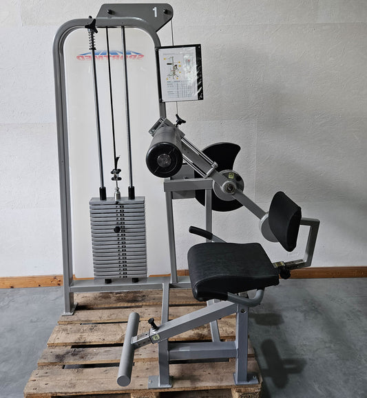 RMA Bauch / Rücken Kombigerät 2 in 1, Abs and lower Back, Silber, gebraucht - überholter Zustand