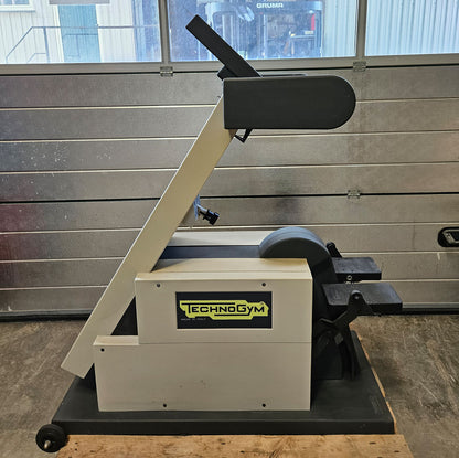 TechnoGym Steprace Stepper mit Polar, grau, gebraucht