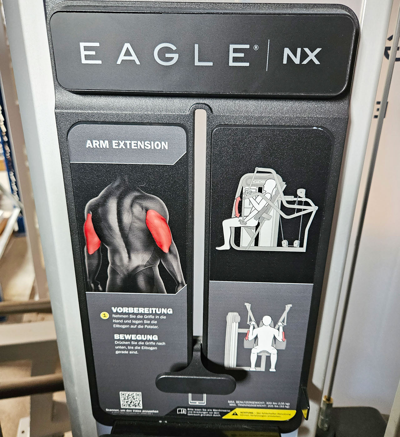 Cybex Eagle NX Arm Extension, Trizepsmaschine, Triceps Press, Rahmenfarbe Anthrazit, gebraucht - überholter Zustand