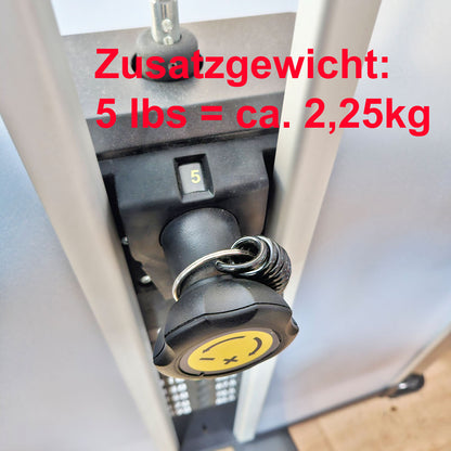 Cybex Eagle NX Arm Extension, Trizepsmaschine, Triceps Press, Rahmenfarbe Anthrazit, gebraucht - überholter Zustand