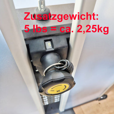 cybex triceps press Cybex Eagle NX Arm Extension: Used triceps machine