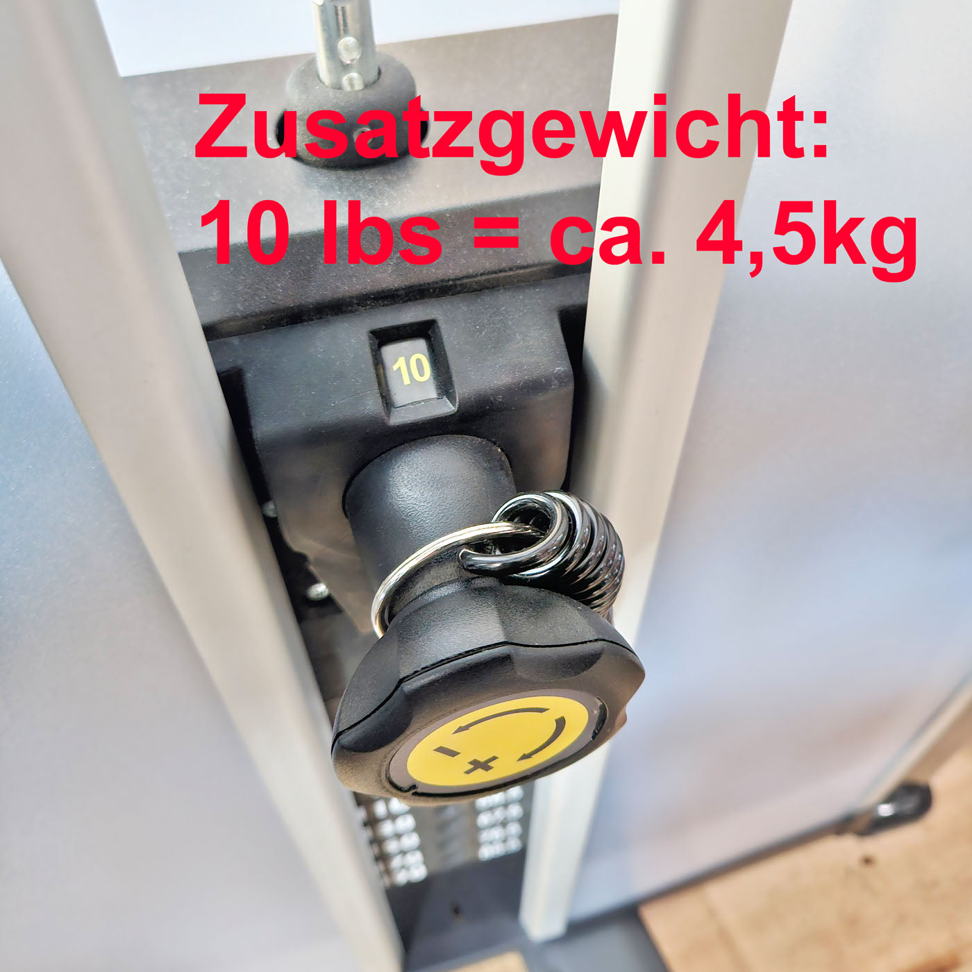 Cybex Eagle NX Arm Extension, Trizepsmaschine, Triceps Press, Rahmenfarbe Anthrazit, gebraucht - überholter Zustand