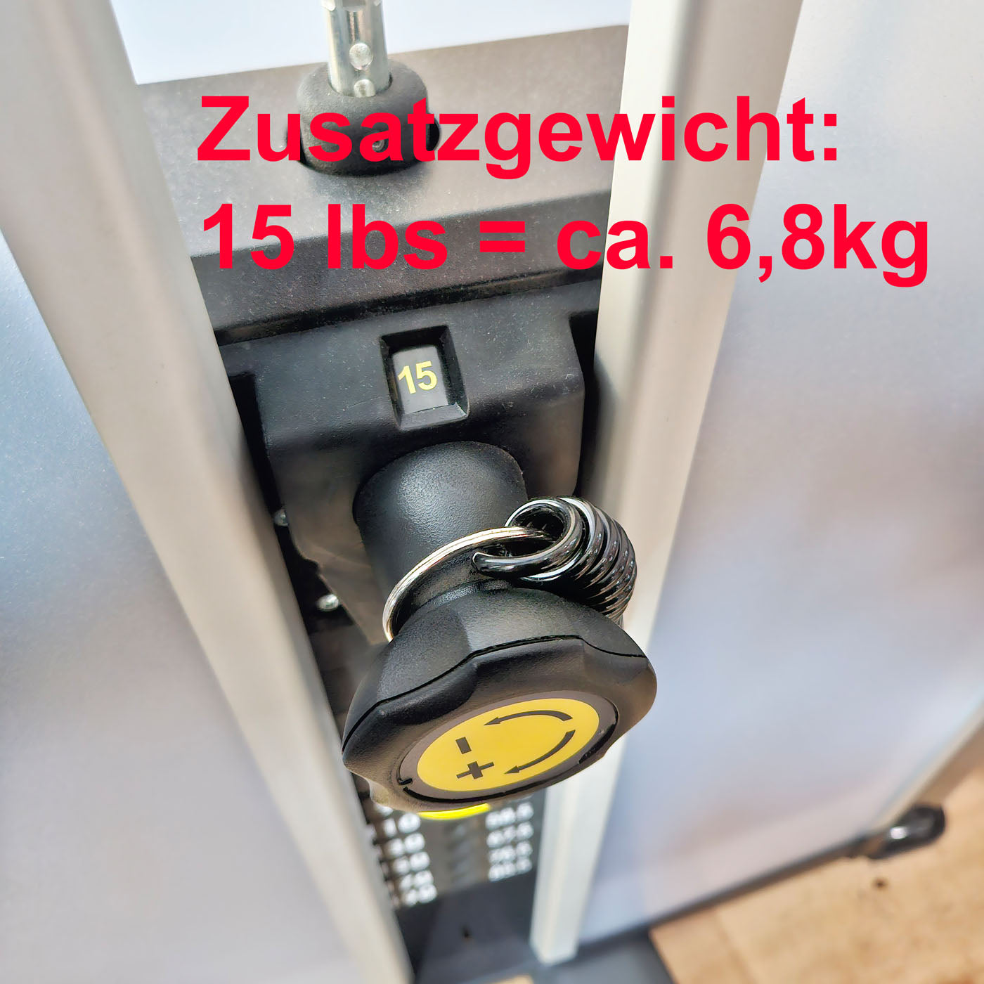 Cybex Eagle NX Arm Extension, Trizepsmaschine, Triceps Press, Rahmenfarbe Anthrazit, gebraucht - überholter Zustand