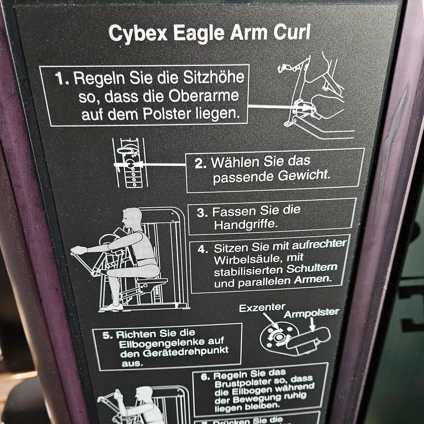Cybex Eagle Arm Curl, Bizepsmaschine mit Exzenter, Biceps Curl, Rahmenfarbe Anthrazit, gebraucht - überholter Zustand
