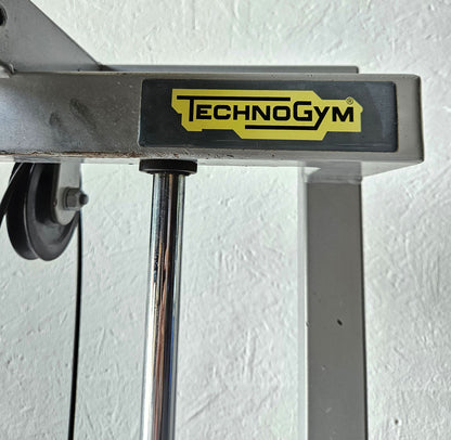 TechnoGym 2x Kabelzug, Cable Crossover, Seilzug von oben und unten, Silverline, Oldschool, Rahmenfarbe Silber, gebraucht - mit Gebrauchsspuren
