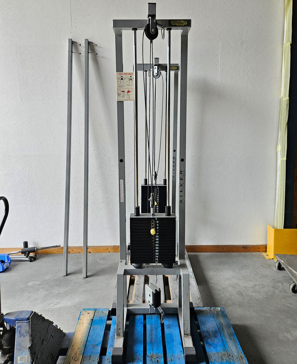 TechnoGym 2x Kabelzug, Cable Crossover, Seilzug von oben und unten, Silverline, Oldschool, Rahmenfarbe Silber, gebraucht - mit Gebrauchsspuren
