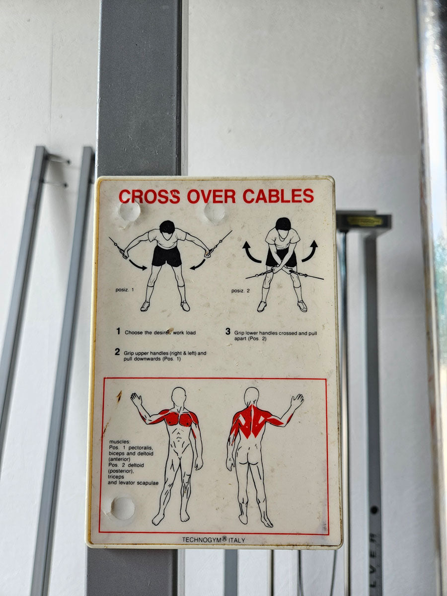 TechnoGym 2x Kabelzug, Cable Crossover, Seilzug von oben und unten, Silverline, Oldschool, Rahmenfarbe Silber, gebraucht - mit Gebrauchsspuren