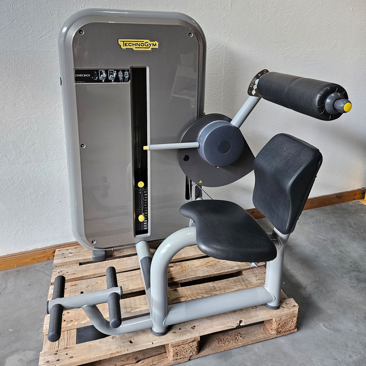 TechnoGym 12 Kraftgeräte im Set, Element Line Serie, Kraftgerätepark Fitnessstudio, gebraucht - überholter Zustand