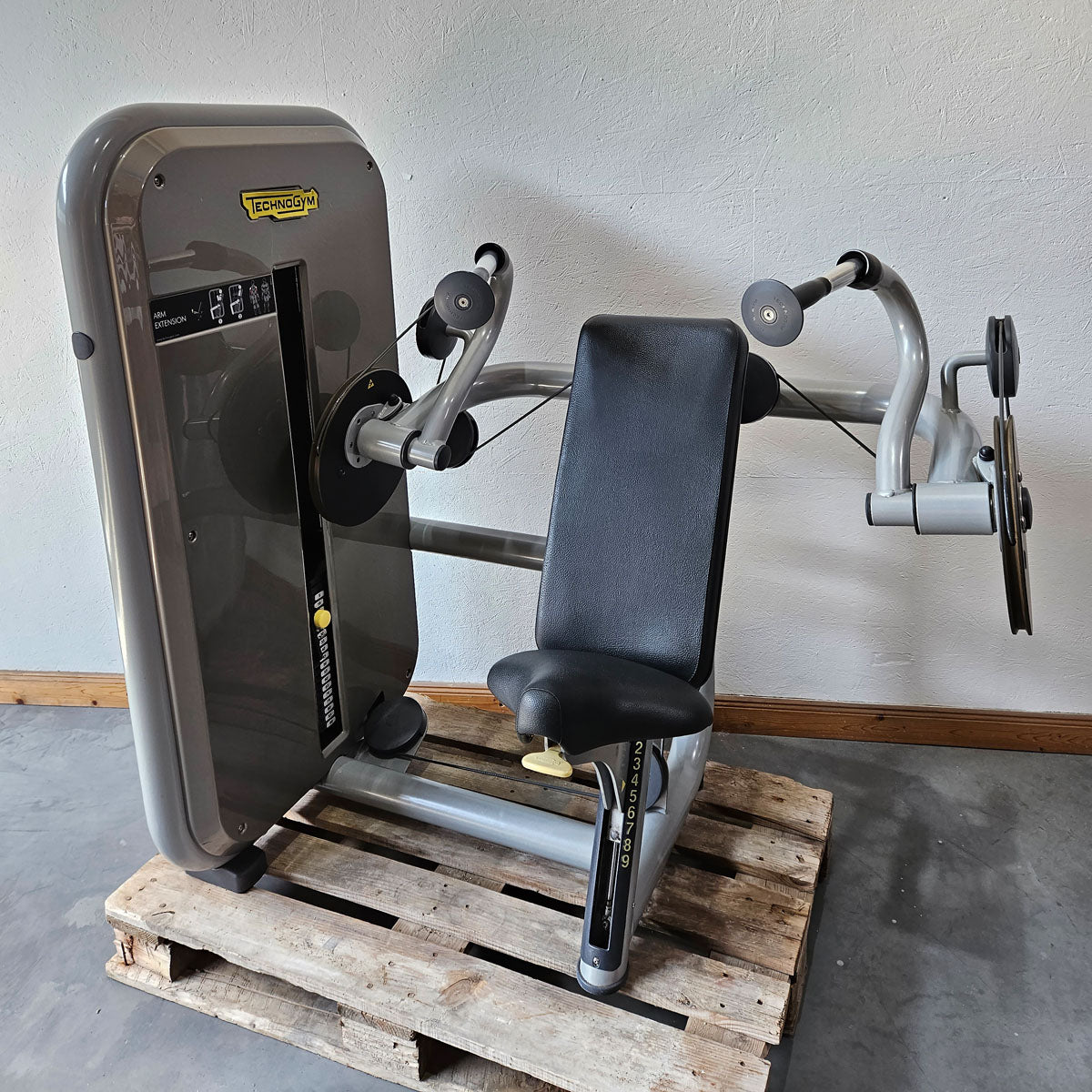 TechnoGym 12 Kraftgeräte im Set, Element Line Serie, Kraftgerätepark Fitnessstudio, gebraucht - überholter Zustand