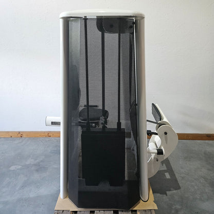 Gym80 seated calf press Sygnum 3027, calf machine, calf press, frame color white, used - refurbished condition