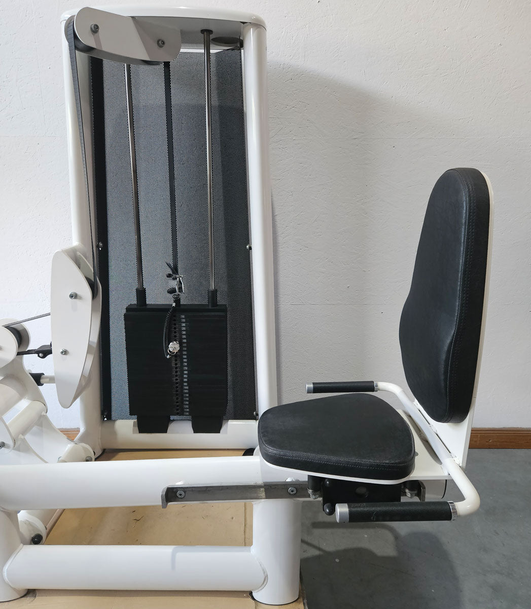 Gym80 seated calf press Sygnum 3027, calf machine, calf press, frame color white, used - refurbished condition