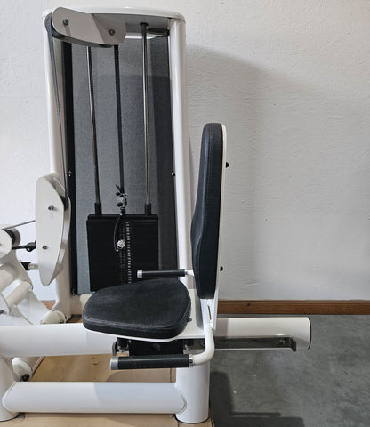 Gym80 seated calf press Sygnum 3027, calf machine, calf press, frame color white, used - refurbished condition