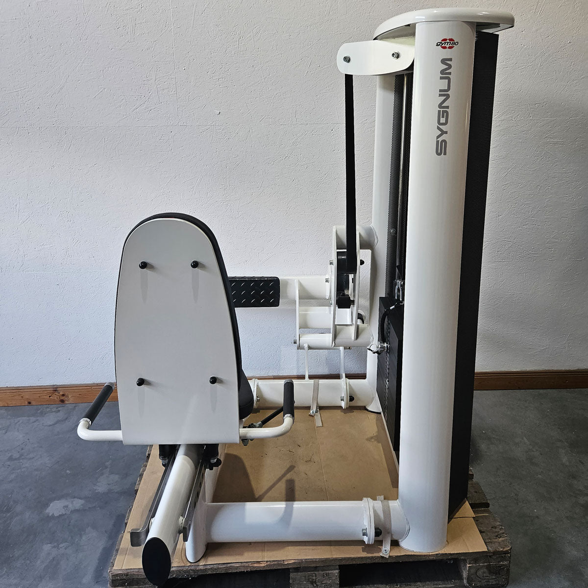Gym80 seated calf press Sygnum 3027, calf machine, calf press, frame color white, used - refurbished condition
