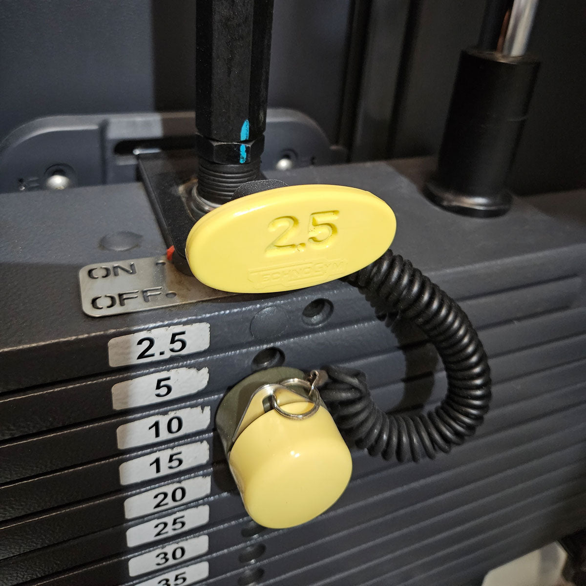 Technogym Rotationsmaschine, Rotary Torso, Twister, Selection Line, Rahmenfarbe Weiß, Polsterfarbe Braun, gebraucht - überholter Zustand