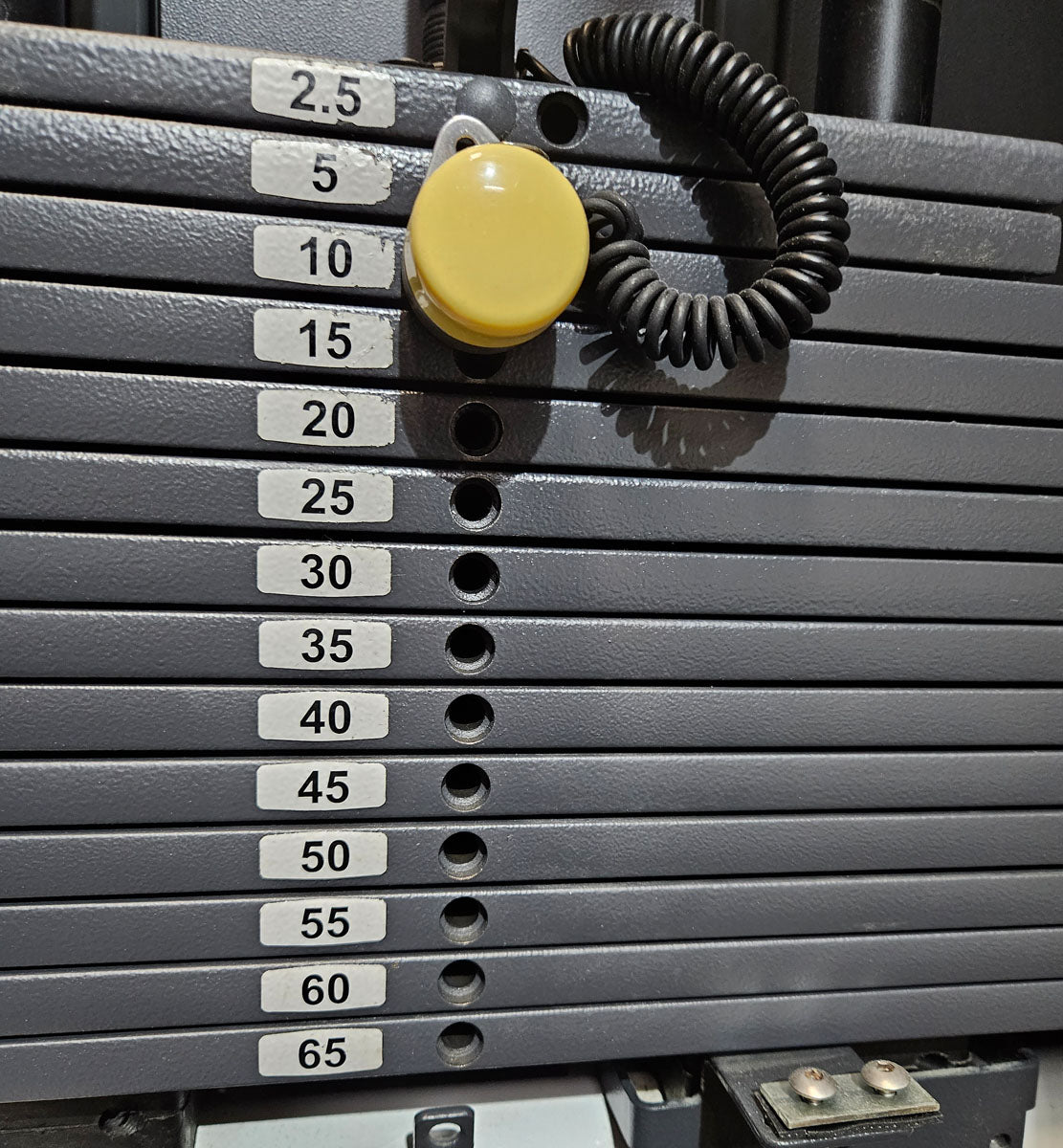 Technogym Rotationsmaschine, Rotary Torso, Twister, Selection Line, Rahmenfarbe Weiß, Polsterfarbe Braun, gebraucht - überholter Zustand