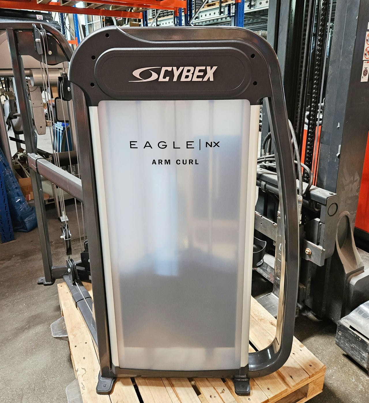 Cybex Eagle NX Arm Curl, biceps machine, biceps curl, frame color anthracite, used - refurbished condition