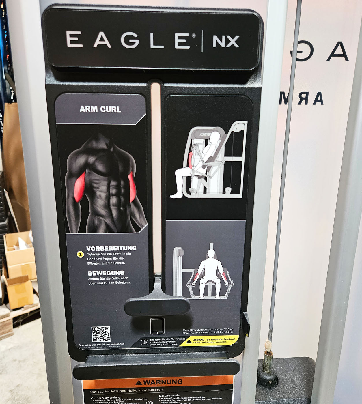 Cybex Eagle NX Arm Curl, biceps machine, biceps curl, frame color anthracite, used - refurbished condition