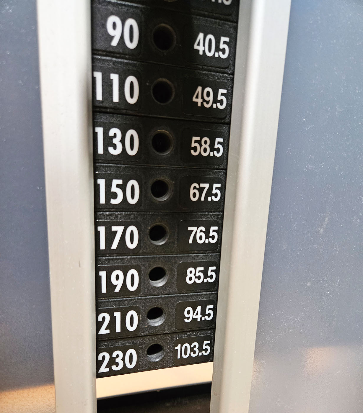 Cybex Eagle NX Arm Curl, biceps machine, biceps curl, frame color anthracite, used - refurbished condition